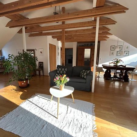 Grosse Wohnung Mit Dachterrasse In Starnberg Extérieur photo