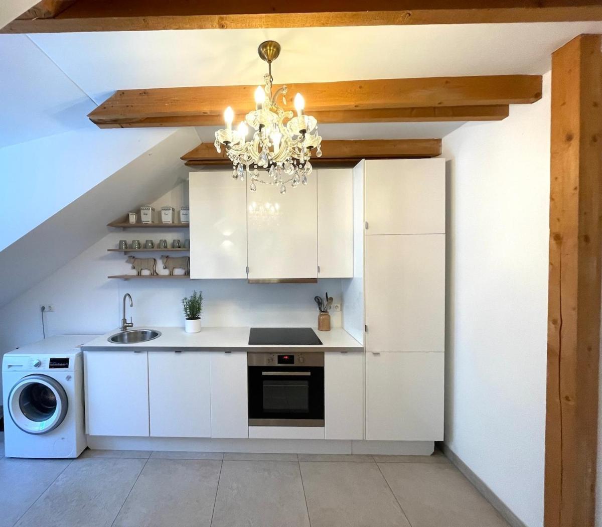 Grosse Wohnung Mit Dachterrasse In Starnberg Extérieur photo