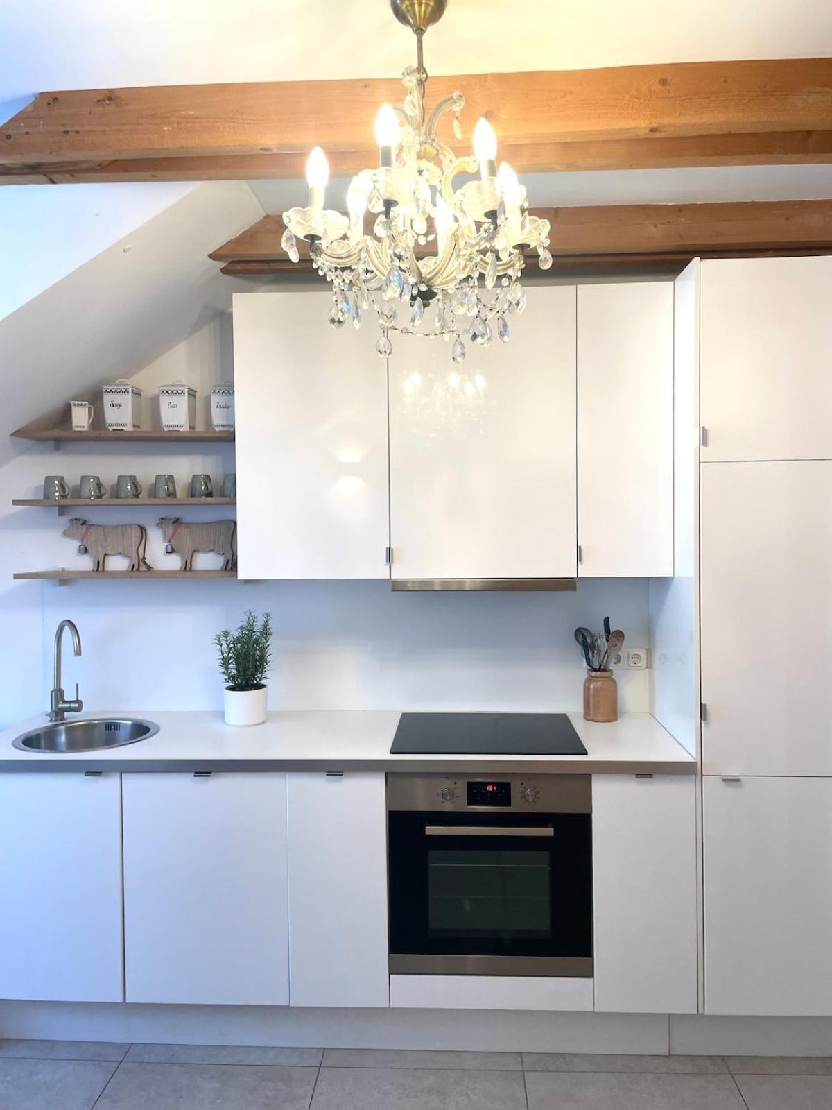 Grosse Wohnung Mit Dachterrasse In Starnberg Extérieur photo