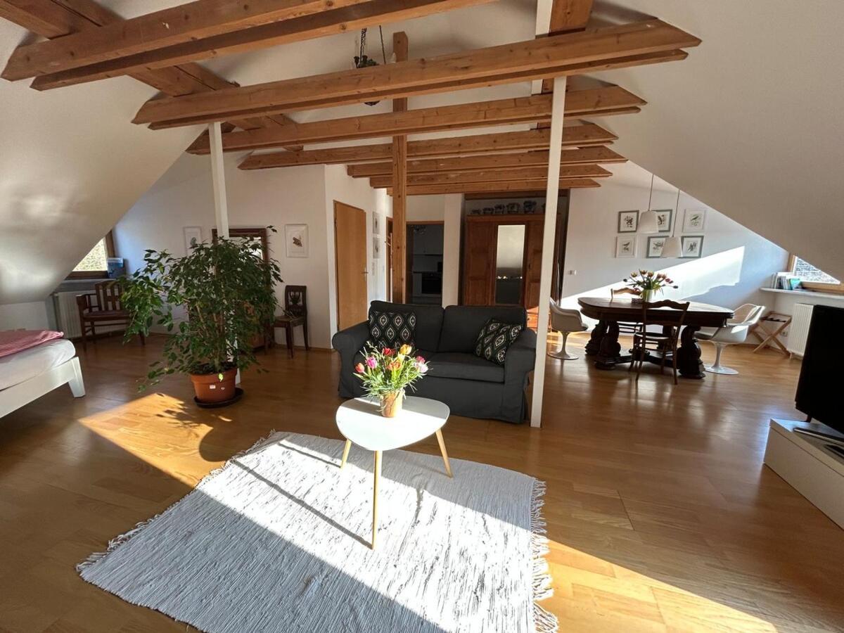 Grosse Wohnung Mit Dachterrasse In Starnberg Extérieur photo