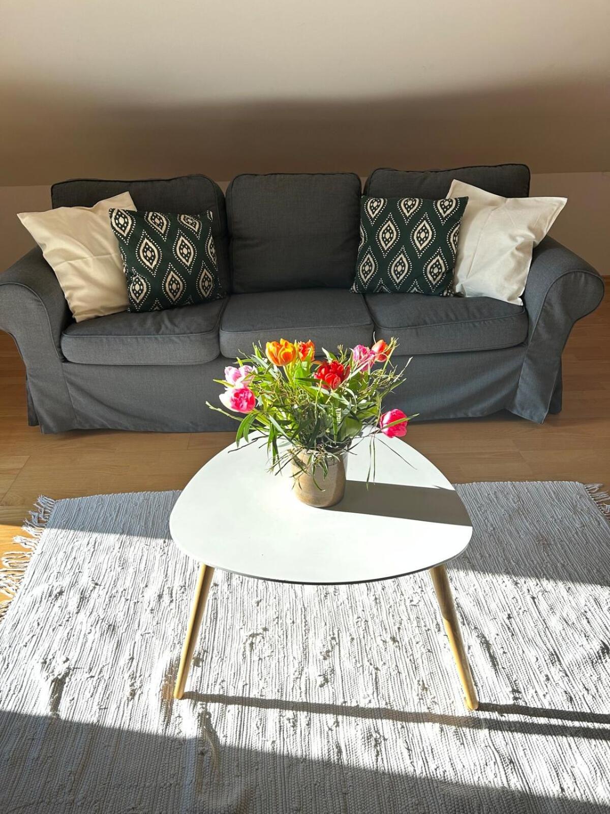 Grosse Wohnung Mit Dachterrasse In Starnberg Extérieur photo