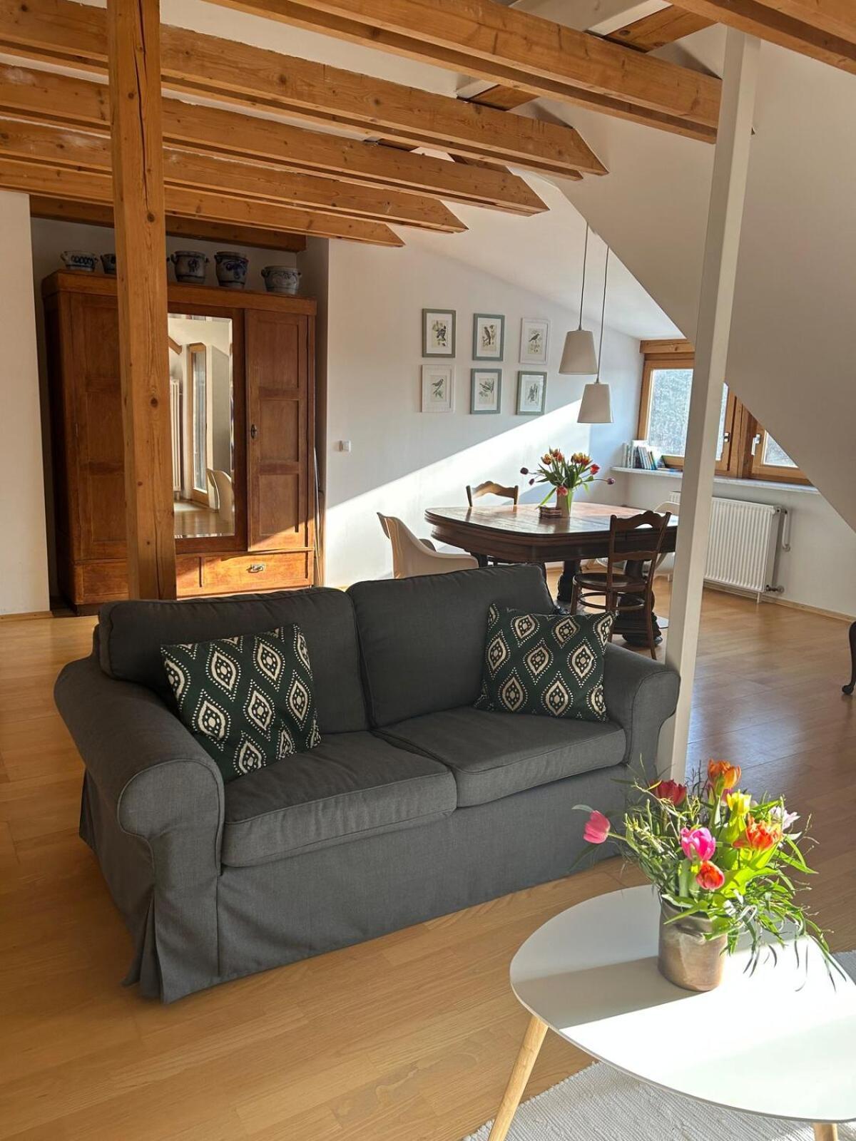 Grosse Wohnung Mit Dachterrasse In Starnberg Extérieur photo