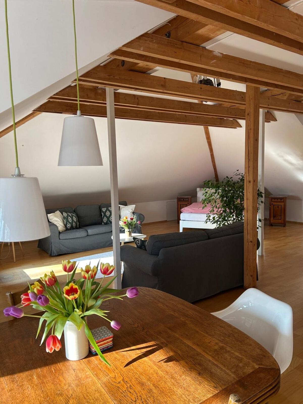 Grosse Wohnung Mit Dachterrasse In Starnberg Extérieur photo
